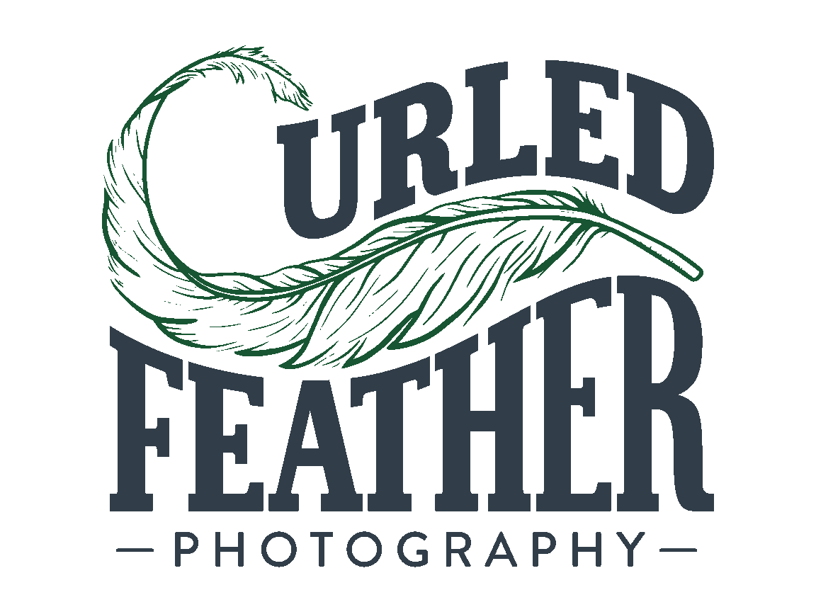 Curled Feather Photography